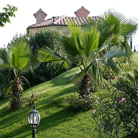Picena 4* Colli del Tronto